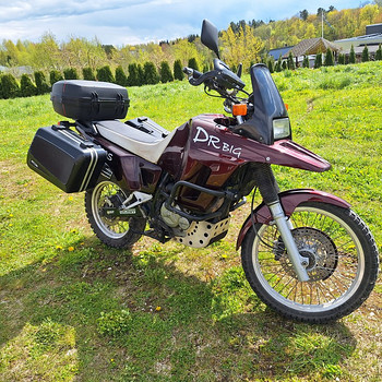 Suzuki DR800