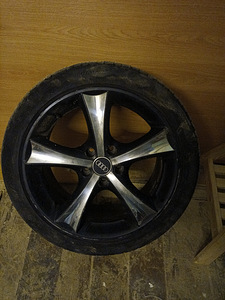 Rattad (1 foto / 2)