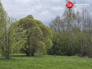 Siugu, Rääbise, Jõgeva vald, Jõgevamaa (43 foto / 50)