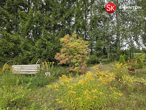 Siugu, Rääbise, Jõgeva vald, Jõgevamaa (46 foto / 50)