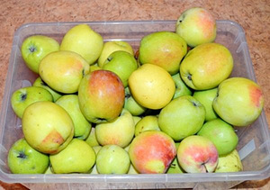 Õunapüree (2 foto / 2)