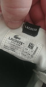 Meeste naturaalnahast topsid Lacoste (3 foto / 8)