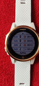 Garmin fenix 5S Sapphire Rose (3 фото из 5)