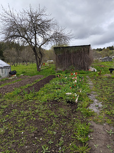Ereda vkt 47, Kohtla-Järve, Ida-Virumaa (6 foto / 7)