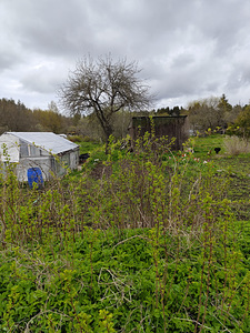 Ereda vkt 47, Kohtla-Järve, Ida-Virumaa (7 foto / 7)