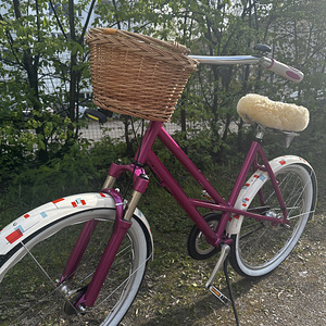 Jalgratas Mercedes Cruiser (7 foto / 10)