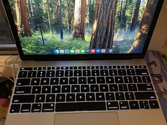 MacBook 12" 2016 256/8gb