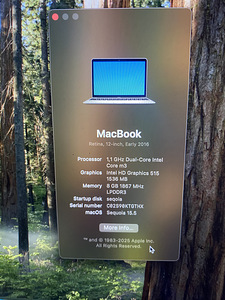 MacBook 12" 2016 256/8gb (2 фото из 5)