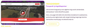 VEEBILEHE LOOMINE MITME LEHEGA + SEO + JUHENDAMINE (2 фото из 6)