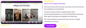 VEEBILEHE LOOMINE MITME LEHEGA + SEO + JUHENDAMINE (5 фото из 6)