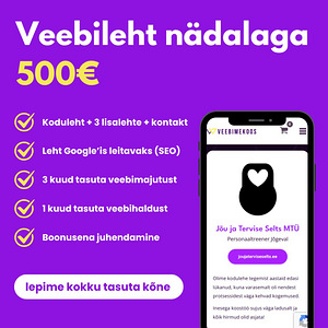 VEEBILEHE LOOMINE MITME LEHEGA + SEO + JUHENDAMINE (1 фото из 6)