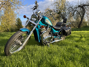 Suzuki VS 800 37kW (1 фото из 6)