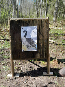 Väljasõidu vibu- ja ambalaskmine (2 foto / 5)