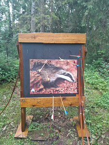 Väljasõidu vibu- ja ambalaskmine (3 foto / 5)