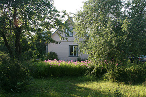 Lääne tn 6, Jõhvi, Jõhvi vald, Ida-Virumaa (3 foto / 7)