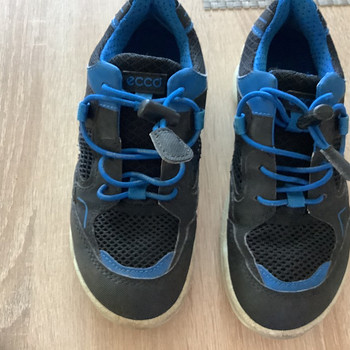 Ecco s 30