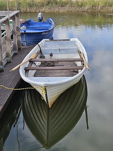 Robust 16 (3 foto / 8)