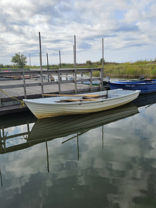 Robust 16 (4 foto / 8)