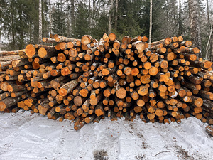 Küttepuud (1 foto / 7)