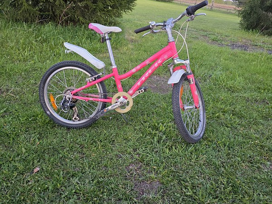 Laste jalgratas Trek 20" 6käiku