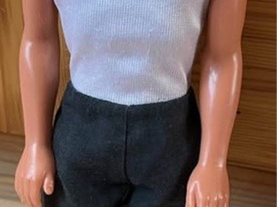 Barbie Ken nukk