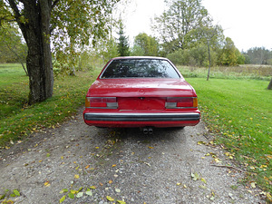 BMW 635 e24 1988 г. (6 фото из 15)