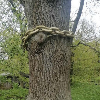 Золотая цепь (деревянная)