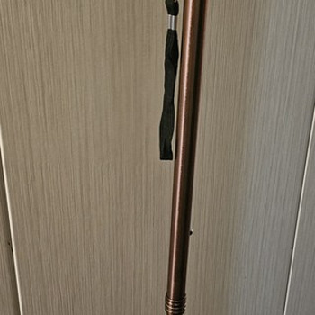 Трость
