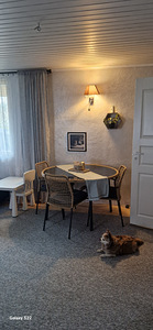 Suvila tn, Nõmme, Tallinn, Harjumaa (12 foto / 25)