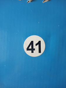 Rulluisud, suurus 41 (7 foto / 7)