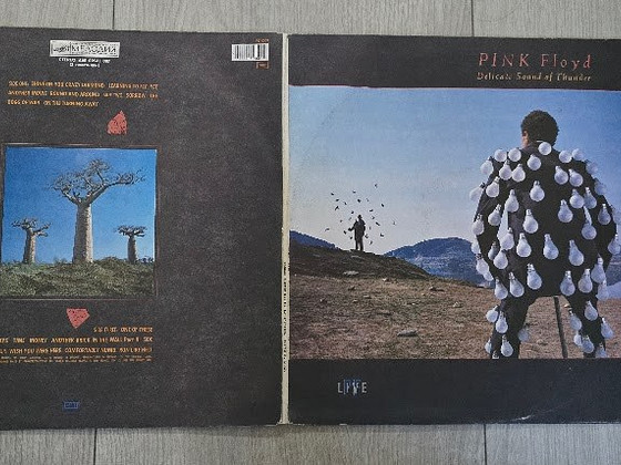 Pink Floyd- винил
