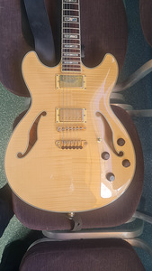 IBANEZ AS 103 (1 фото из 4)