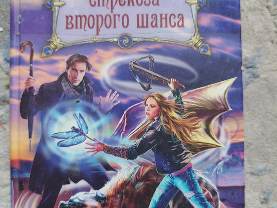 Книга Стрекоза второго шанса