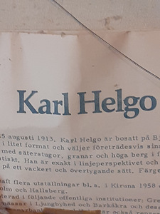 KARL HELGO HOLLANDI MAALIKUNST 1913 AASTA (7 foto / 9)