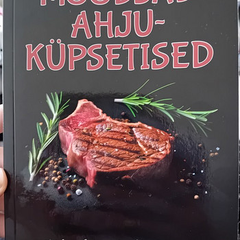 Raamat moodsad ahjuküpsetised UUS