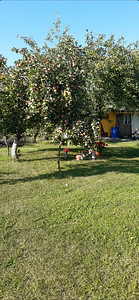 Maardu, Jõelähtme vald, Harjumaa (1 фото из 3)