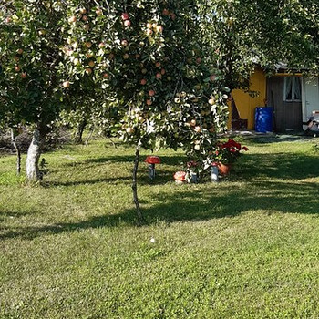 Maardu, Jõelähtme vald, Harjumaa