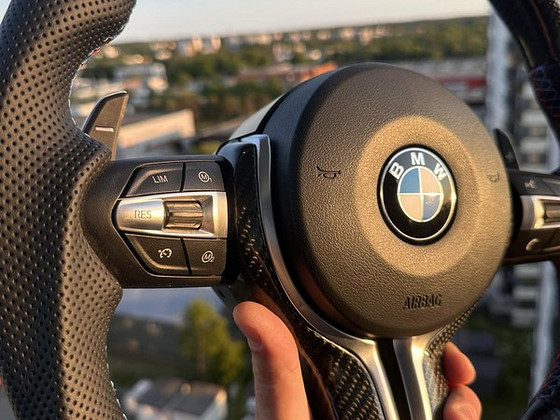 Rool BMW M Performance Carbon | 3-серия | ПОДУШКА + лепес