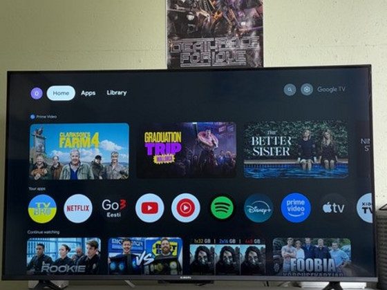 Xiaomi 43" A 2024 4K teler ELA5493EU