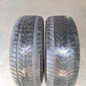 Talverehvid 2 tk. Dunlop (1 foto / 3)