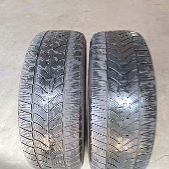 Talverehvid 2 tk. Dunlop