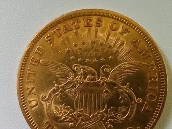 USA 20 dollarit
