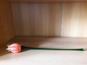 Klaaslilled (1 foto / 2)