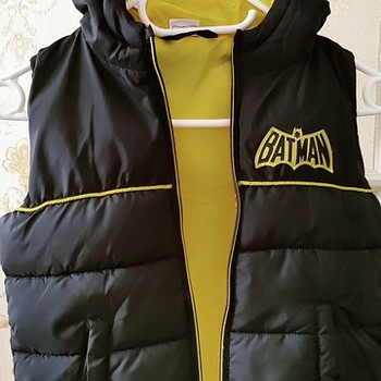 Vest poisile