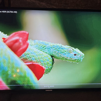 Цифровые экраны/телевизоры Samsung ME46C 46”