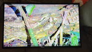 Цифровые экраны/телевизоры Samsung ME46C 46” (6 фото из 6)