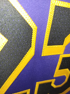 NBA Jordan Lebron James Los Angeles Lakers Аутентичная майка (5 фото из 10)