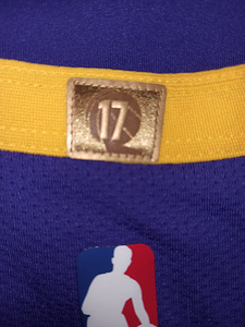 NBA Jordan Lebron James Los Angeles Lakers Аутентичная майка (7 фото из 10)