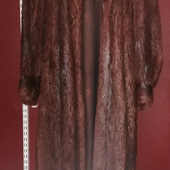 Kasukas, nutria