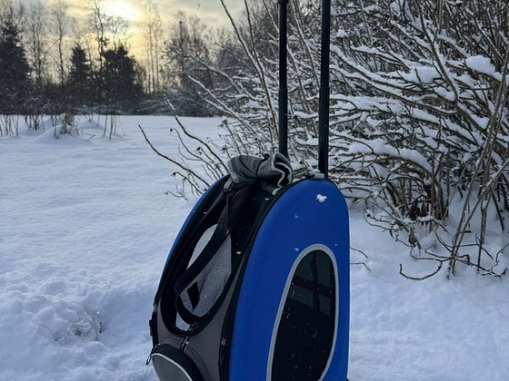Koera/kassikandekott, kandekott koertele/kassidele